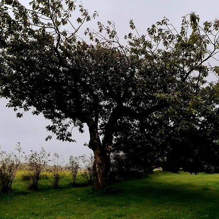 10 Person In Lokken-by Traum