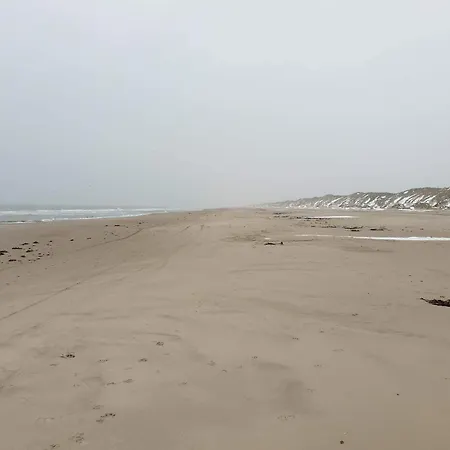 10 Person In Lokken-by Traum Hébergement de vacances *